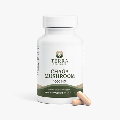 Chaga Mushroom Capsules