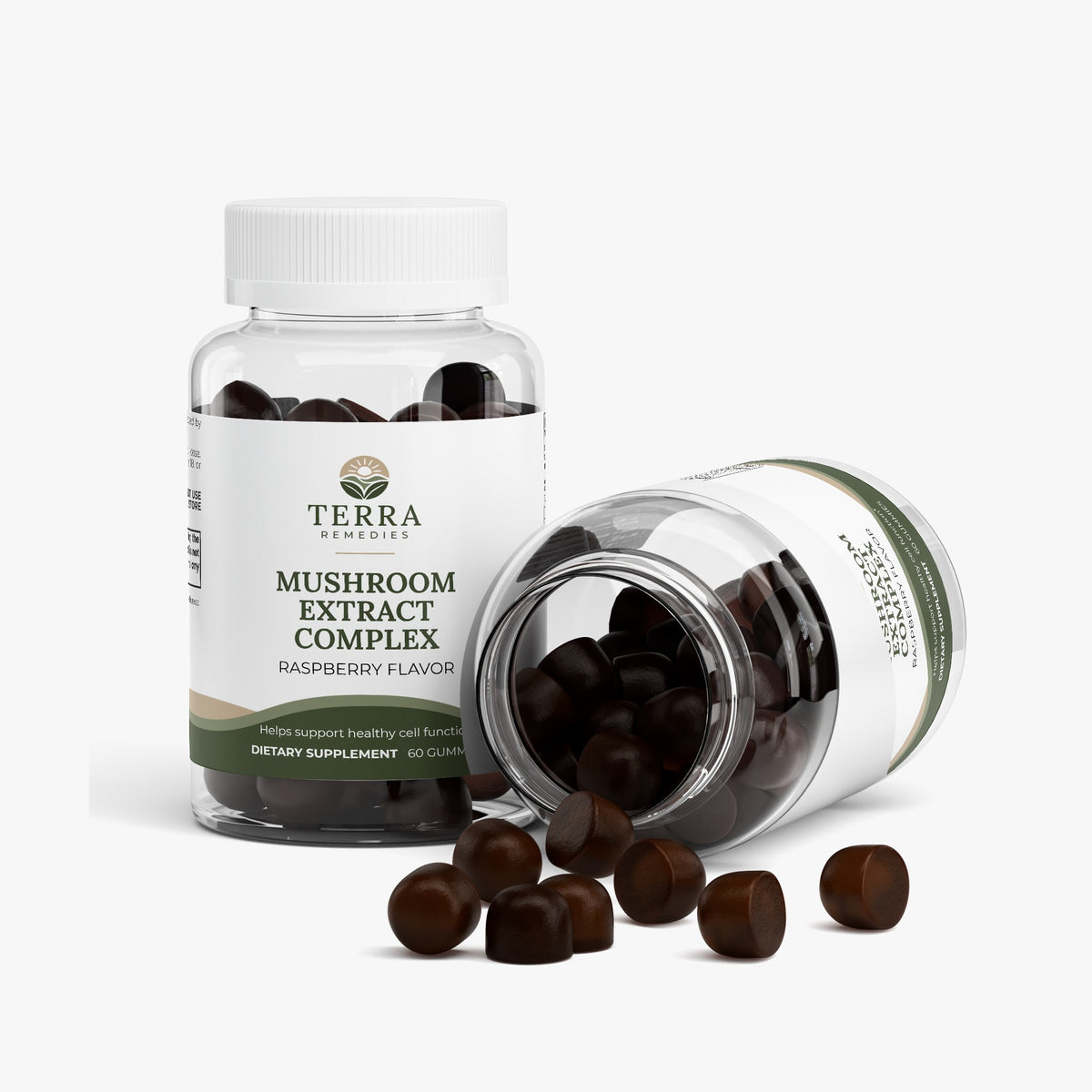 Mushroom Extract Complex